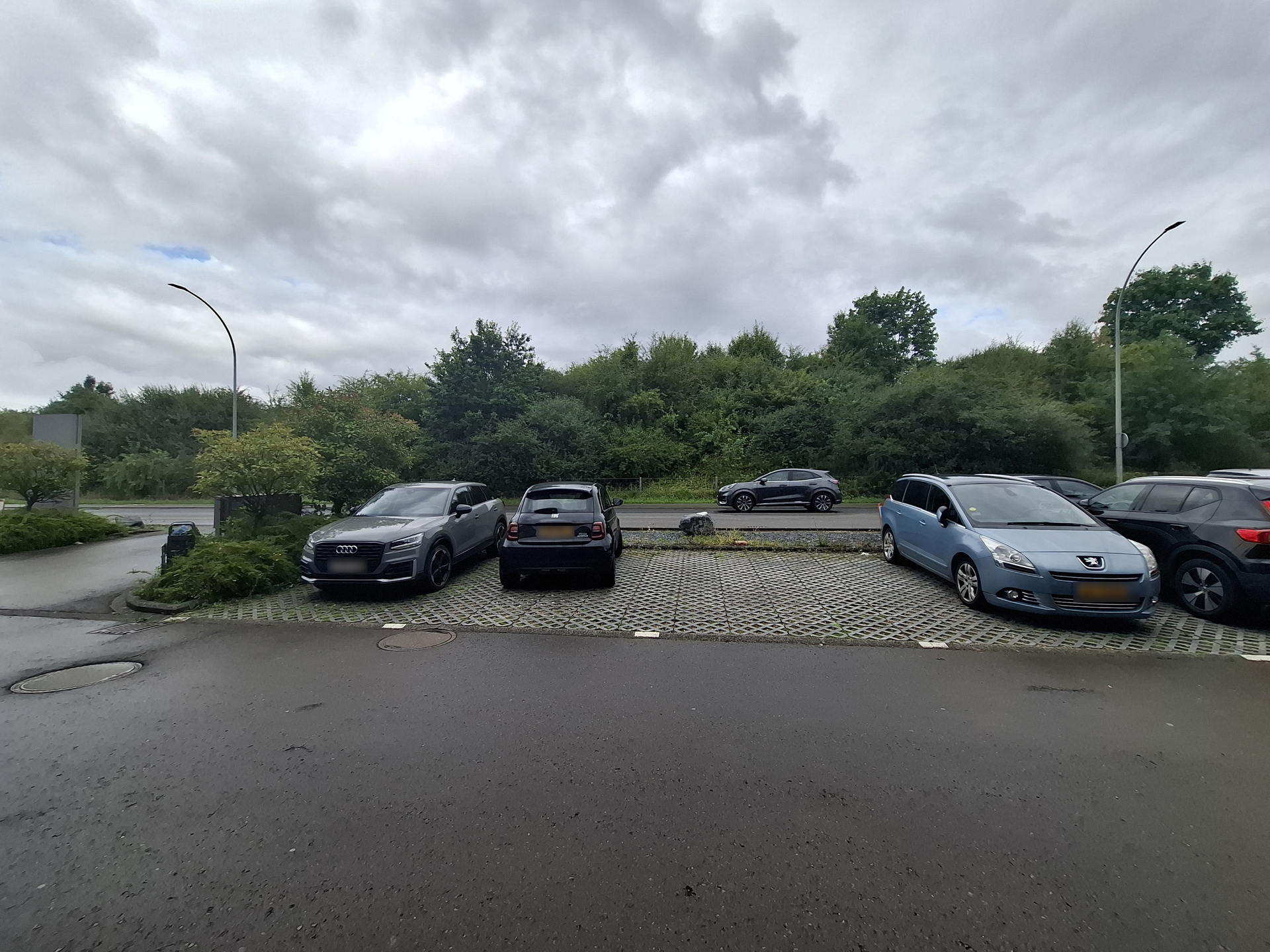 Image 12